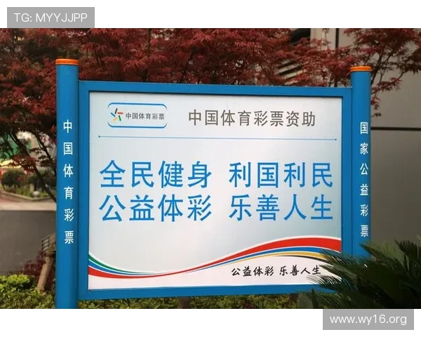 6T体育:探索现代体育创新与全民健身的未来路径 6T体育:探索现代体育创新与全民健身的未来路径